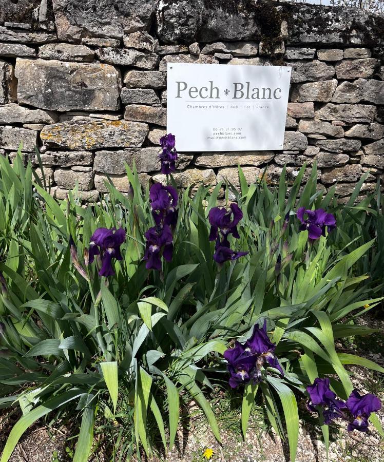 Chambres D'Hotes Pech Blanc Calvignac Экстерьер фото
